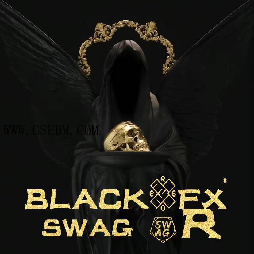 Techno - Hrad Techno - BLACK - SWAG - Mix。